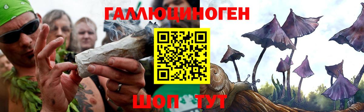 цены наркотик  Псилоцибиновые грибы Psilocybe  Вход с VPN  Еманжелинск  Галлюциногенные грибы мицелий 